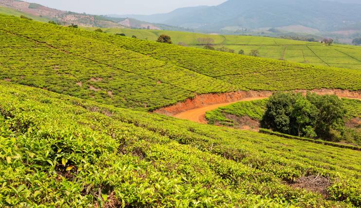 Nkowankowa Vacation Rentals – Find Your Perfect Stay in Limpopo